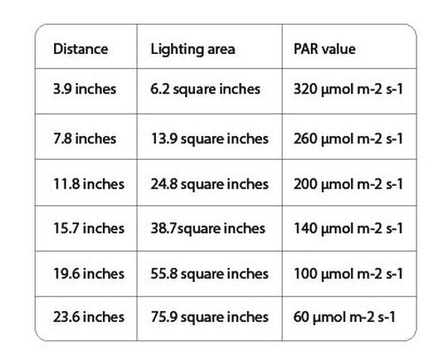 Lighting area pic
